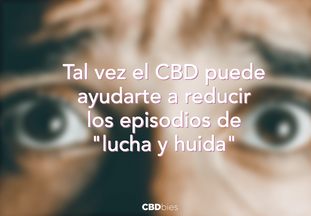 La Respuesta De Lucha O Huida Y El Cbd Cbdbies