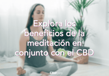 El CBD puede ayudar en la meditación y en la práctica del yoga
