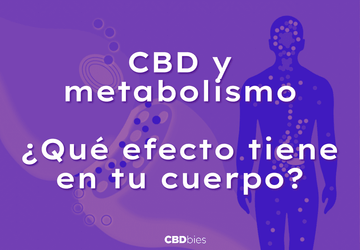 Como se Metaboliza el CBD - Efectos del CBD en el cuerpo