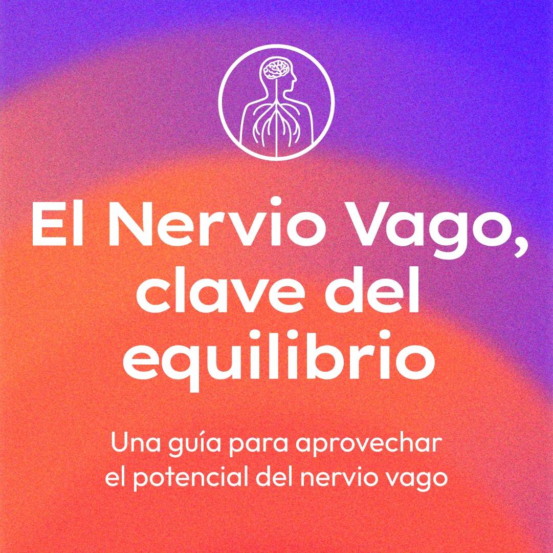 El nervio vago, clave del equilibrio